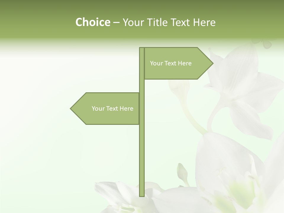 Seasonal Gentle Petal PowerPoint Template