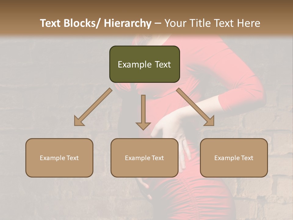 Female Human Hair PowerPoint Template