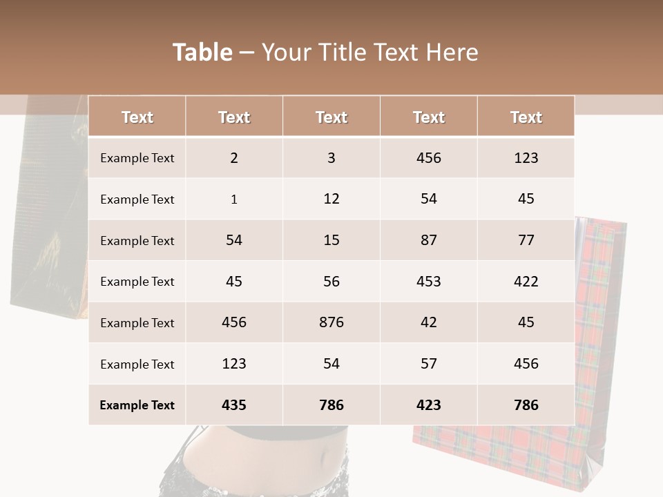 Wear Parcel Bag PowerPoint Template