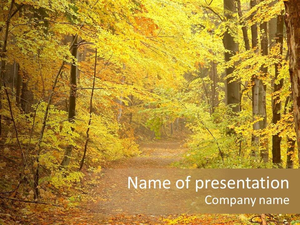 Environment Scenery Scenic PowerPoint Template