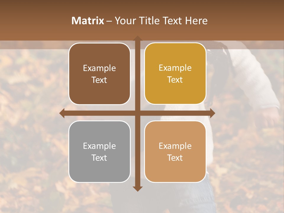 Background Beautiful Fashion PowerPoint Template