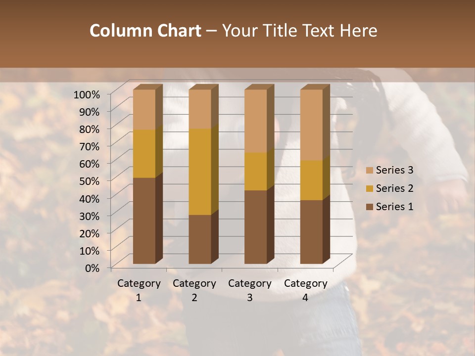 Background Beautiful Fashion PowerPoint Template