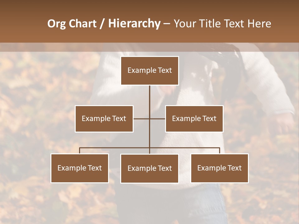 Background Beautiful Fashion PowerPoint Template