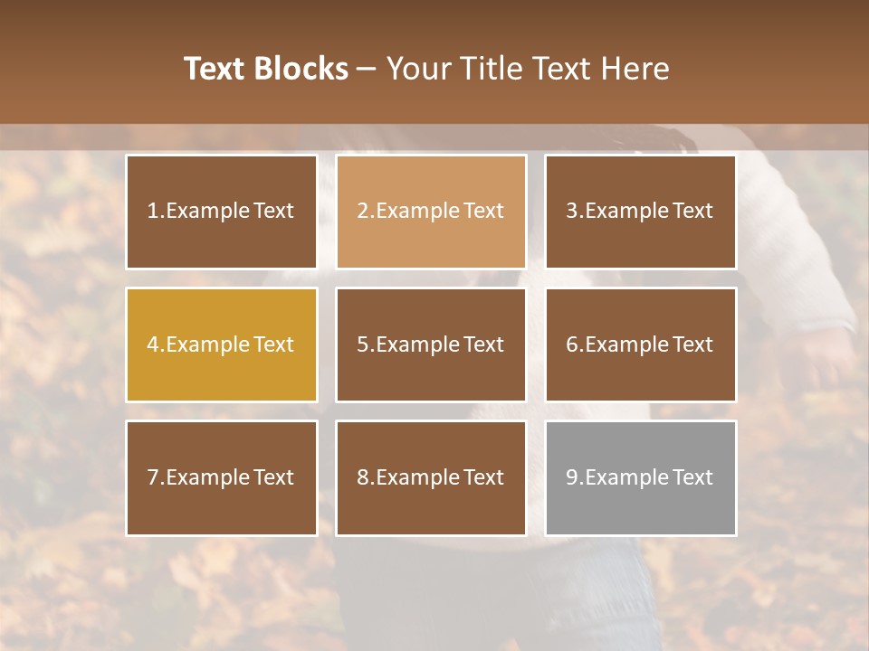 Background Beautiful Fashion PowerPoint Template