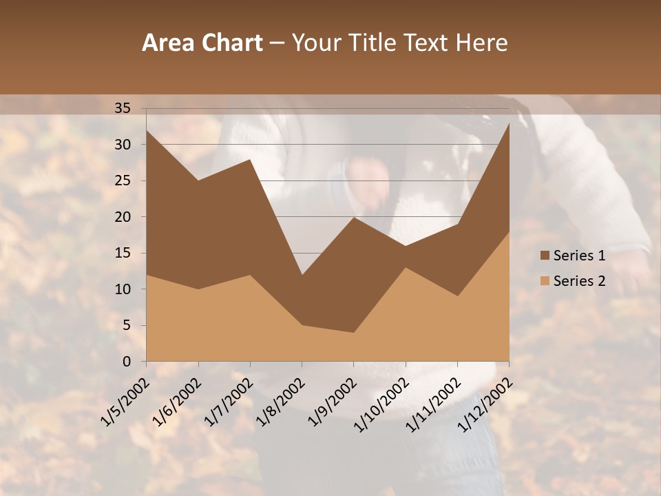 Background Beautiful Fashion PowerPoint Template