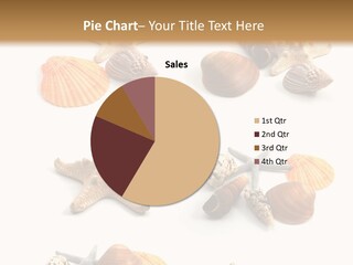 Shore Many White PowerPoint Template