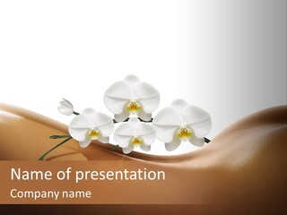 Woman People Welfare PowerPoint Template