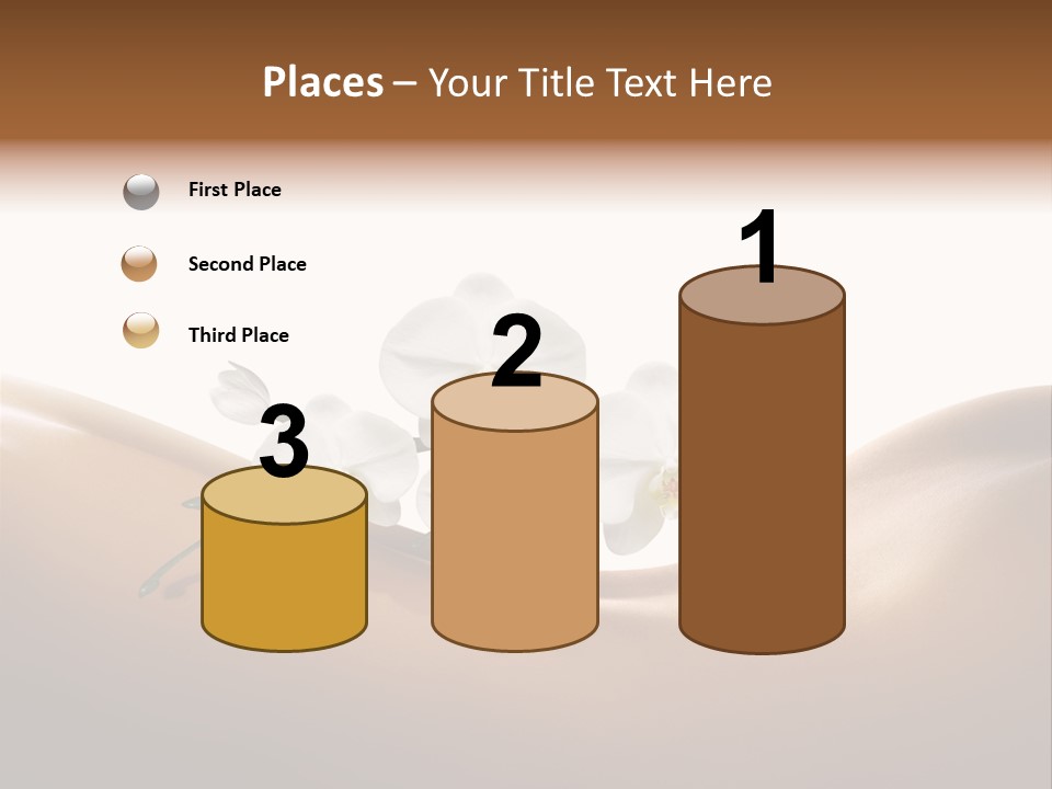 Woman People Welfare PowerPoint Template