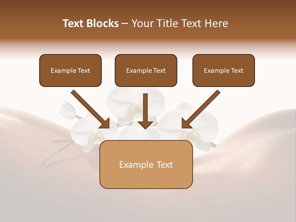 Woman People Welfare PowerPoint Template
