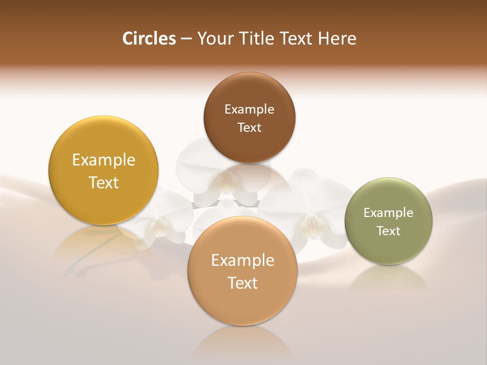 Woman People Welfare PowerPoint Template