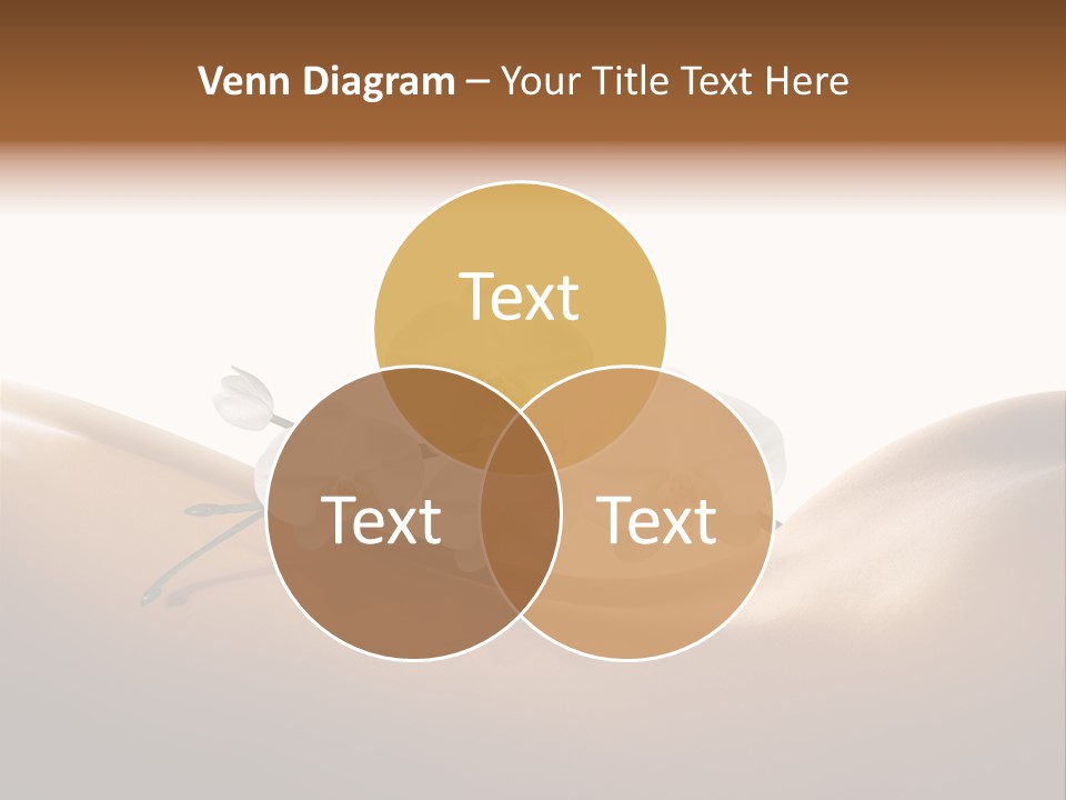 Woman People Welfare PowerPoint Template