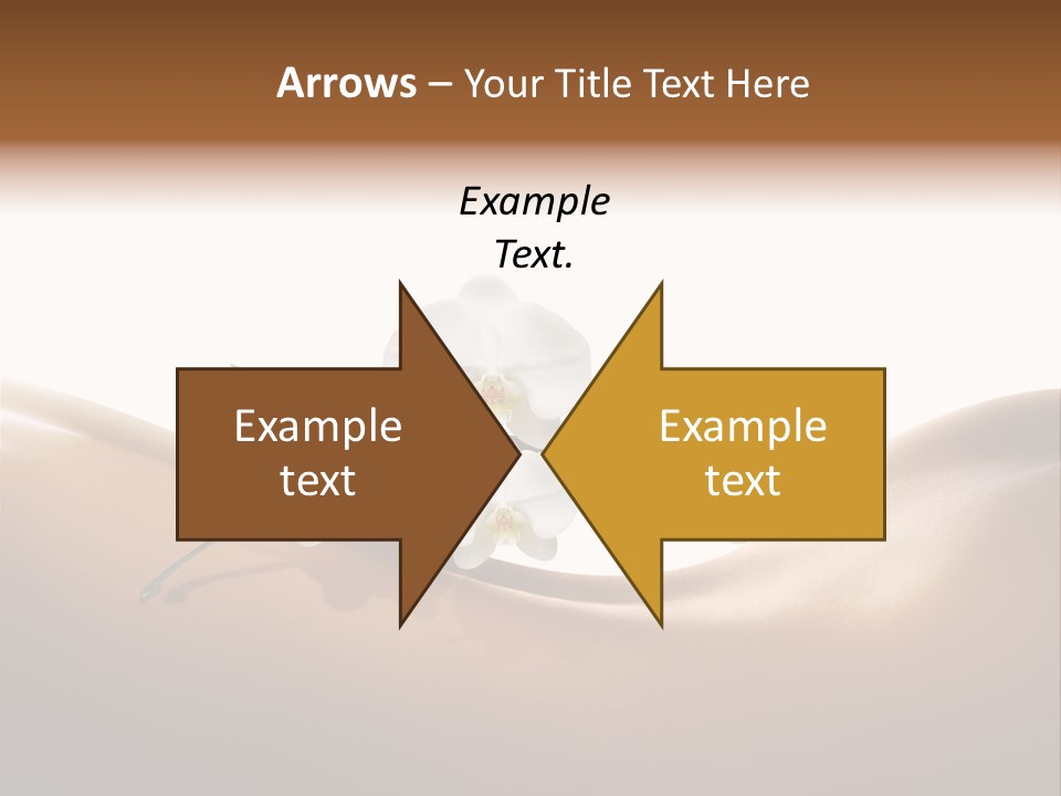 Woman People Welfare PowerPoint Template