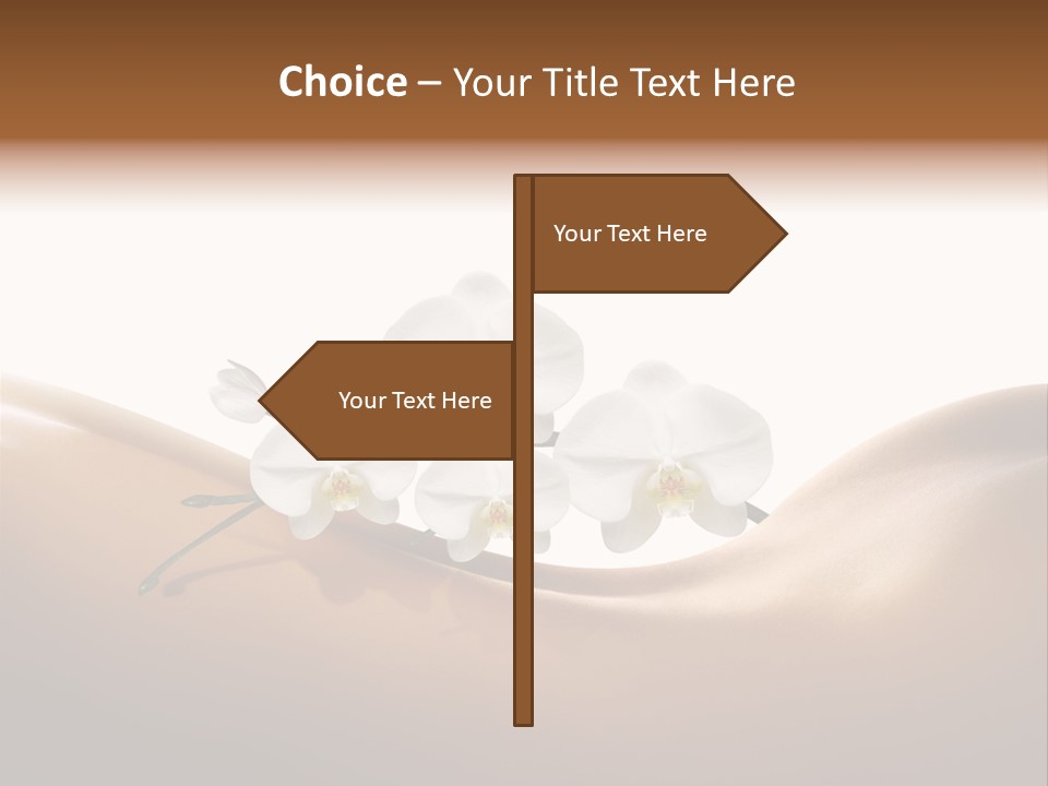 Woman People Welfare PowerPoint Template