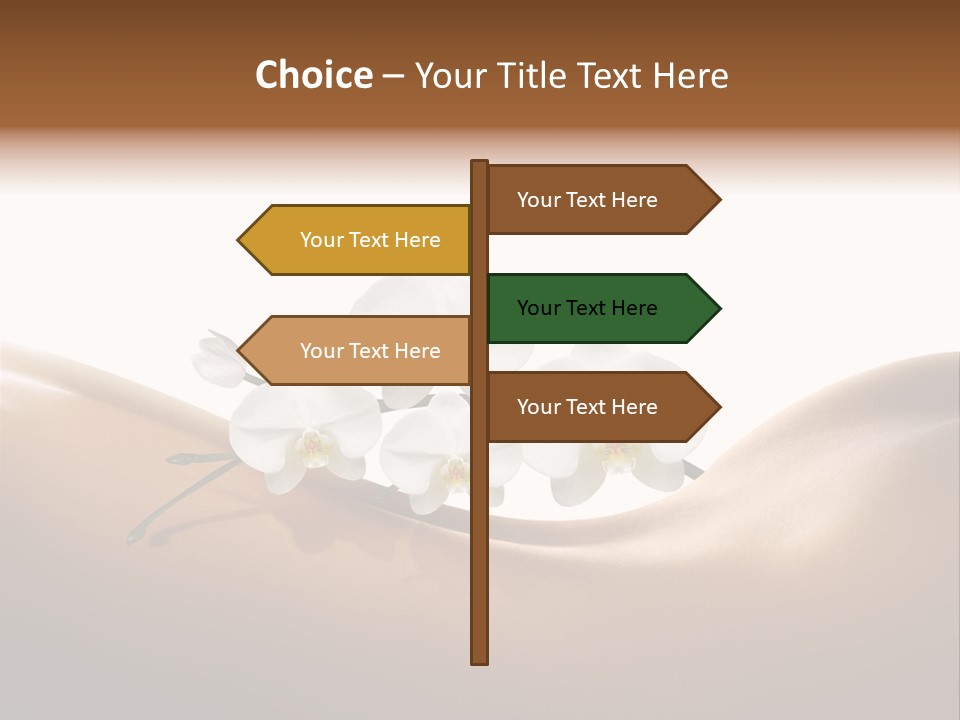 Woman People Welfare PowerPoint Template