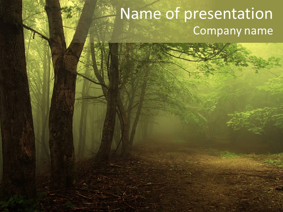 Nature Tree Wallpaper PowerPoint Template