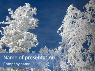 Colour Branch Nature PowerPoint Template