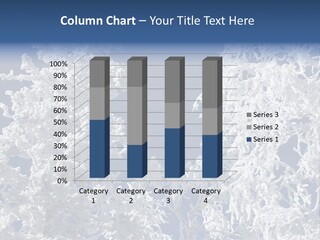 Colour Branch Nature PowerPoint Template