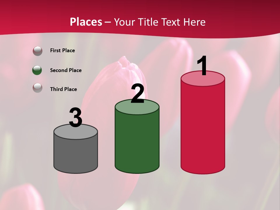 Colour Spring Tulip PowerPoint Template