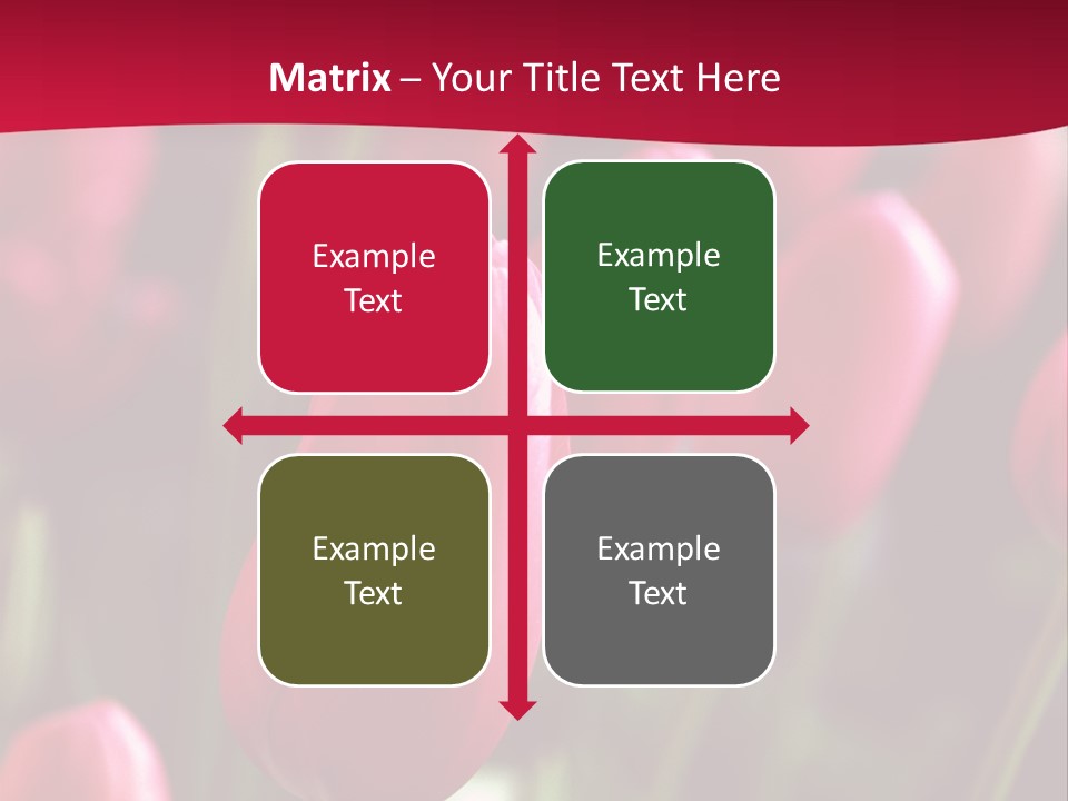 Colour Spring Tulip PowerPoint Template