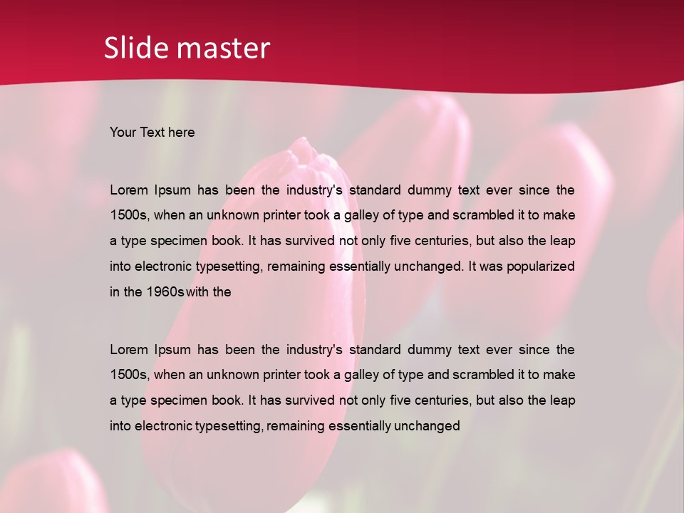 Colour Spring Tulip PowerPoint Template