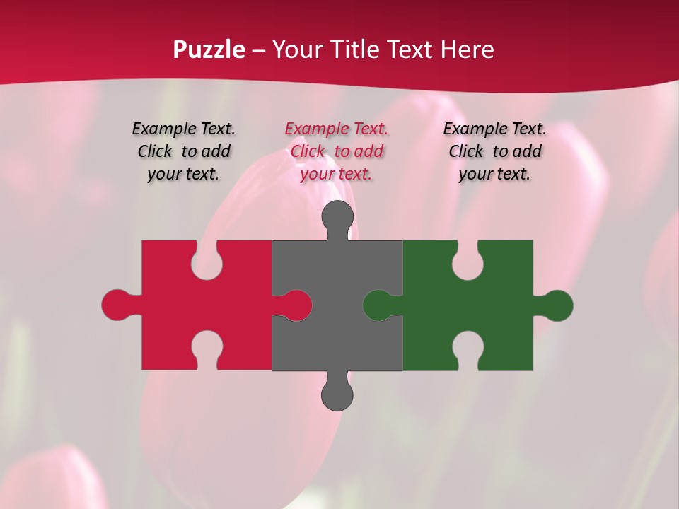 Colour Spring Tulip PowerPoint Template