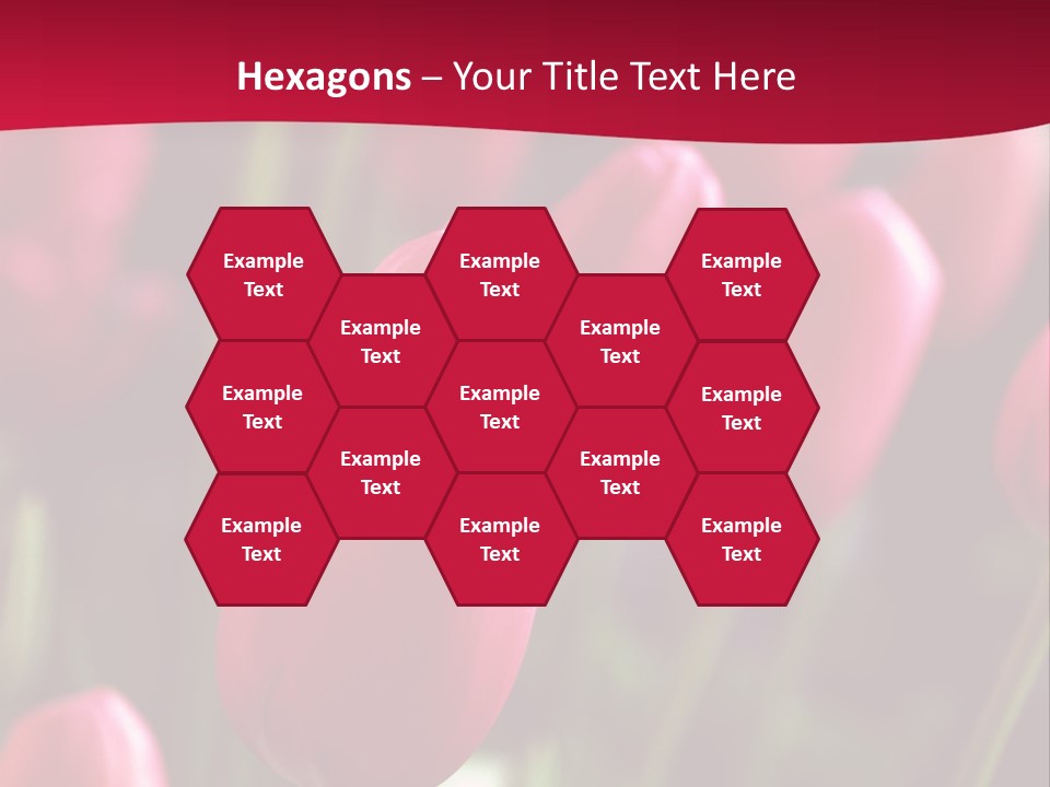 Colour Spring Tulip PowerPoint Template