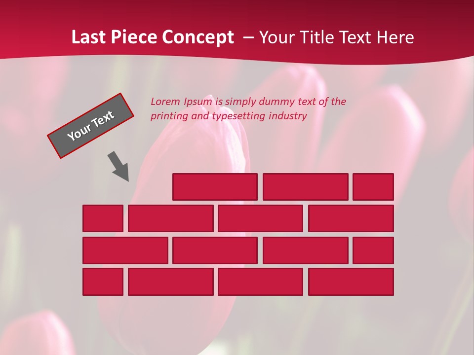 Colour Spring Tulip PowerPoint Template