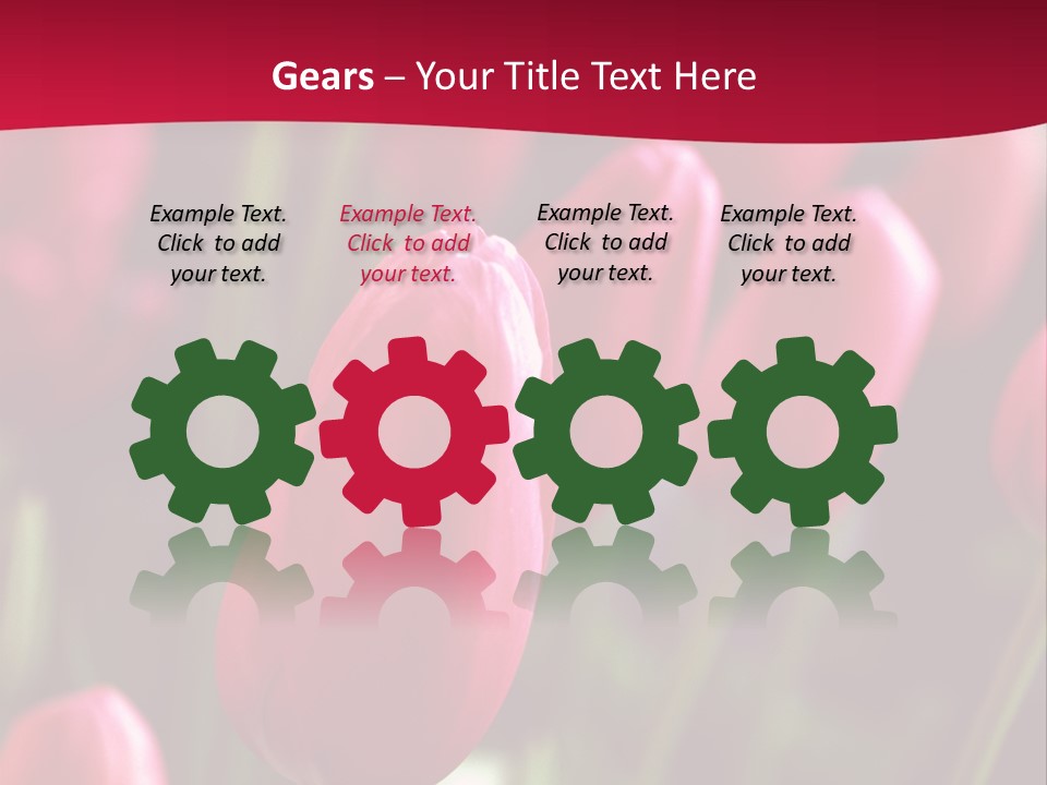 Colour Spring Tulip PowerPoint Template