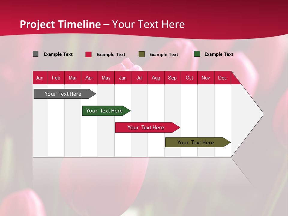 Colour Spring Tulip PowerPoint Template