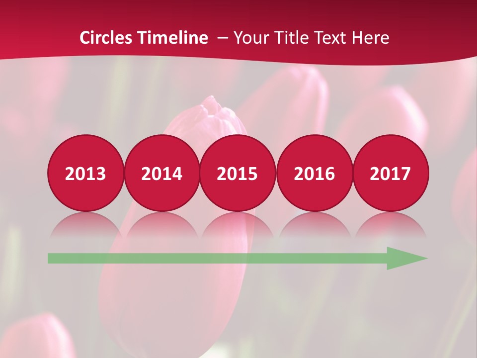 Colour Spring Tulip PowerPoint Template