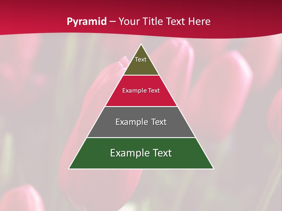 Colour Spring Tulip PowerPoint Template