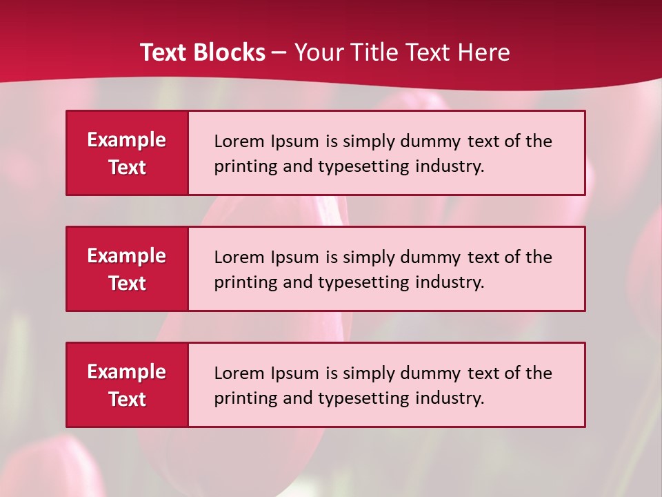 Colour Spring Tulip PowerPoint Template