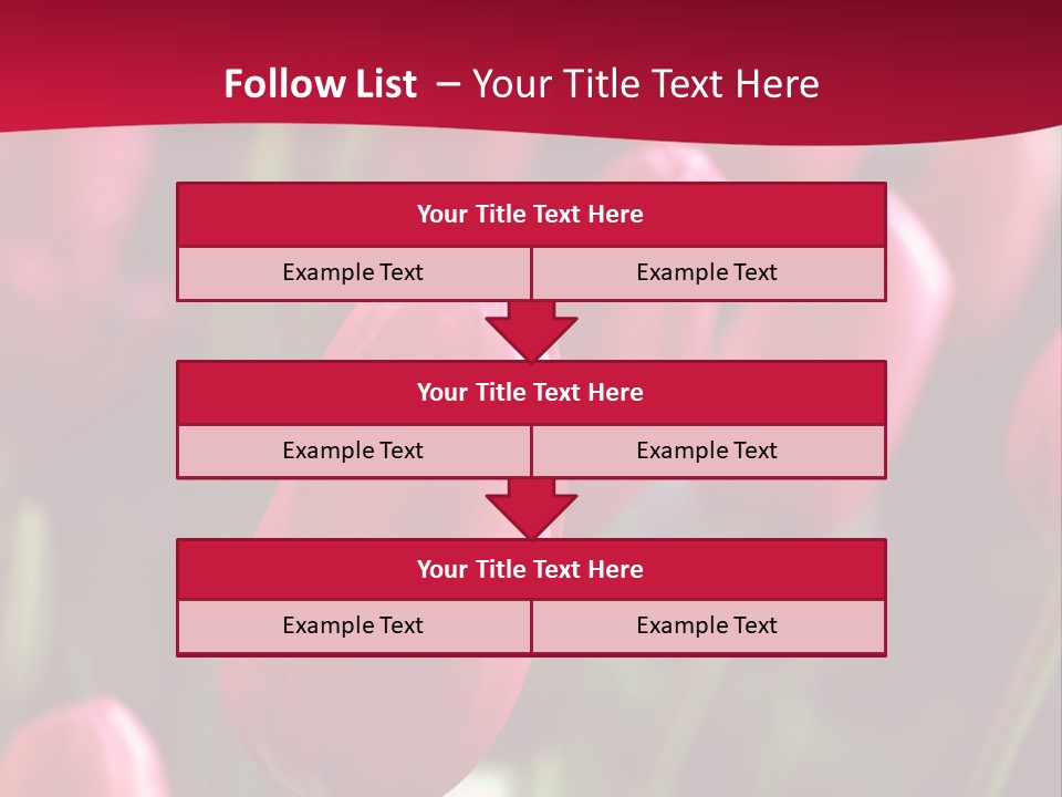 Colour Spring Tulip PowerPoint Template
