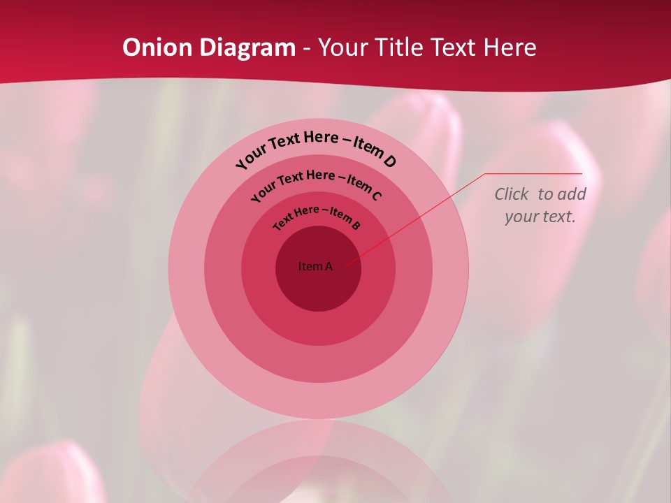 Colour Spring Tulip PowerPoint Template