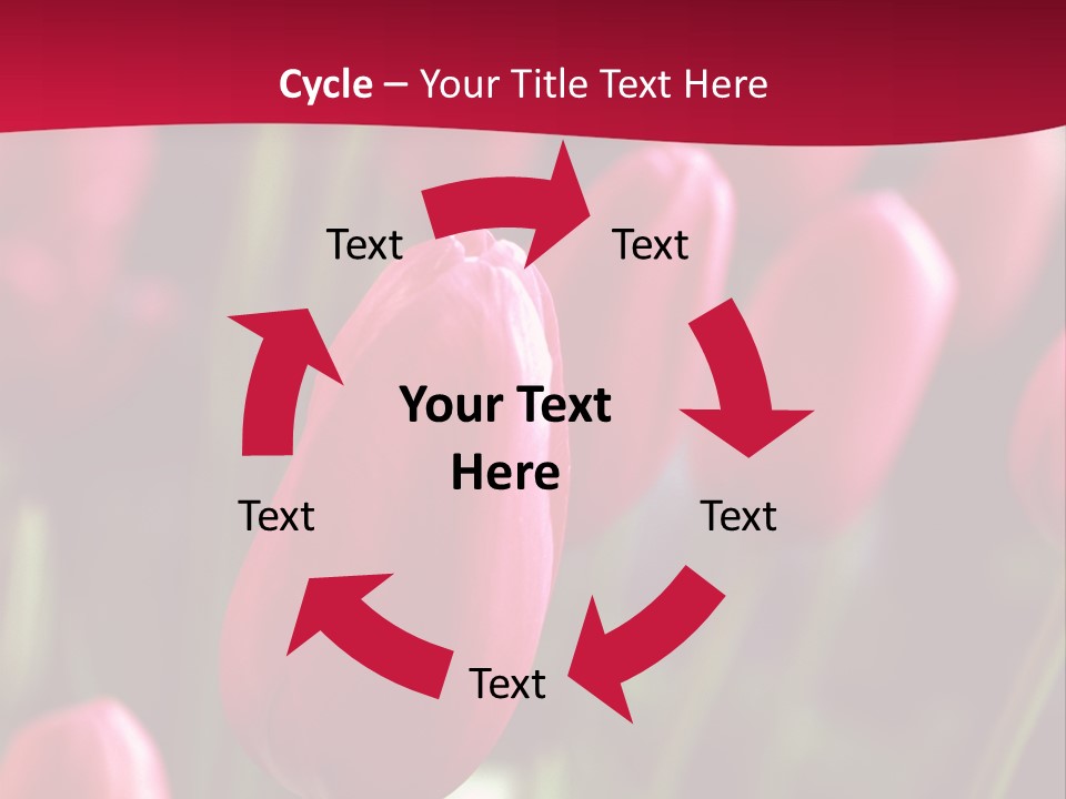 Colour Spring Tulip PowerPoint Template