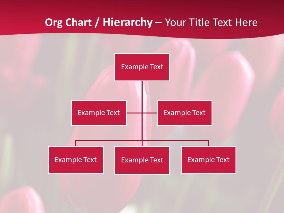 Colour Spring Tulip PowerPoint Template