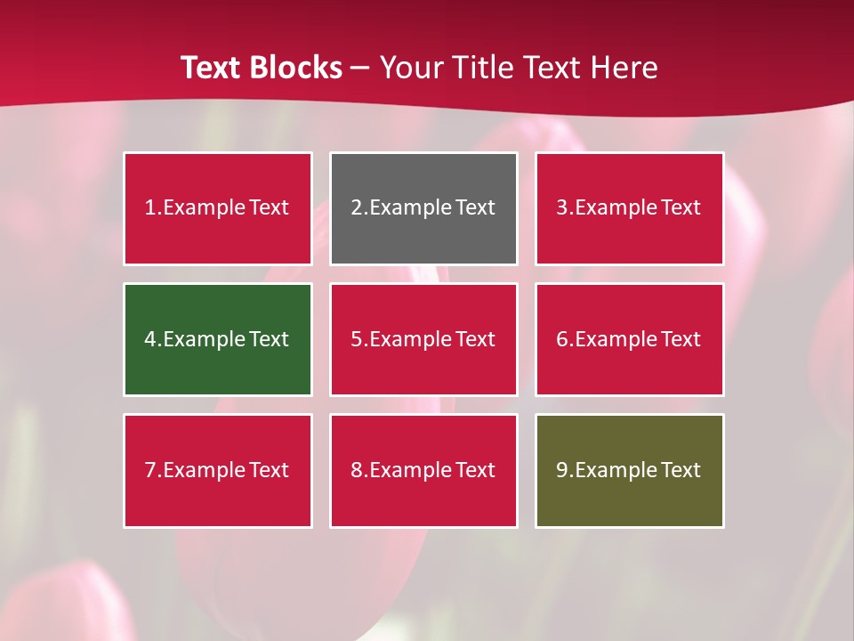 Colour Spring Tulip PowerPoint Template