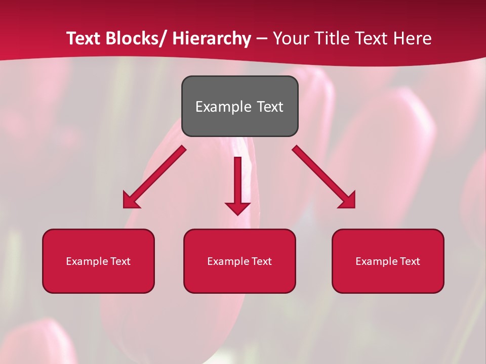 Colour Spring Tulip PowerPoint Template