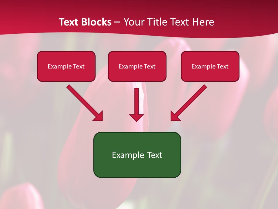 Colour Spring Tulip PowerPoint Template