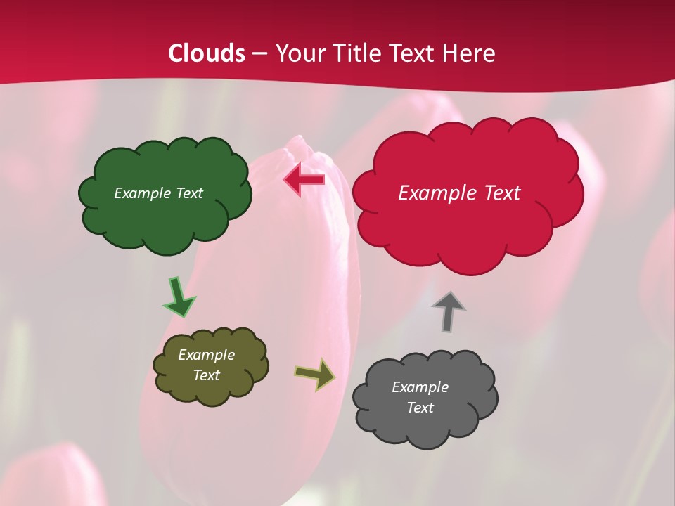 Colour Spring Tulip PowerPoint Template
