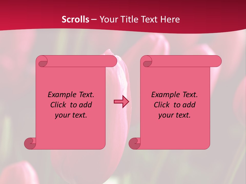 Colour Spring Tulip PowerPoint Template