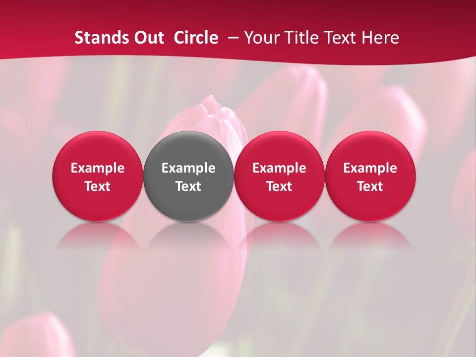 Colour Spring Tulip PowerPoint Template