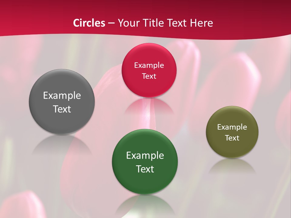 Colour Spring Tulip PowerPoint Template