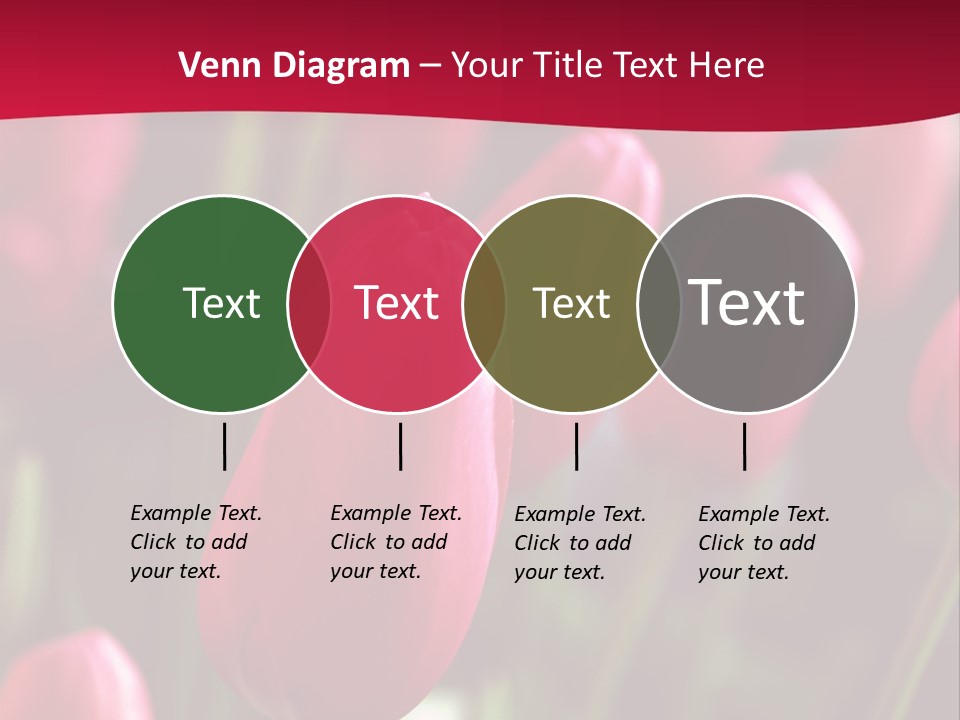 Colour Spring Tulip PowerPoint Template
