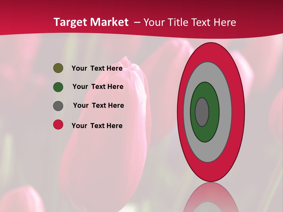 Colour Spring Tulip PowerPoint Template