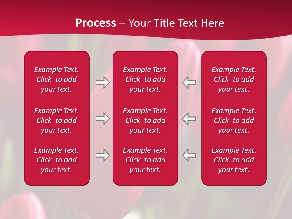 Colour Spring Tulip PowerPoint Template