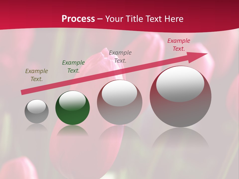Colour Spring Tulip PowerPoint Template