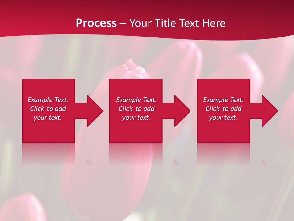 Colour Spring Tulip PowerPoint Template