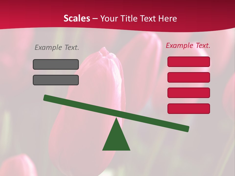 Colour Spring Tulip PowerPoint Template