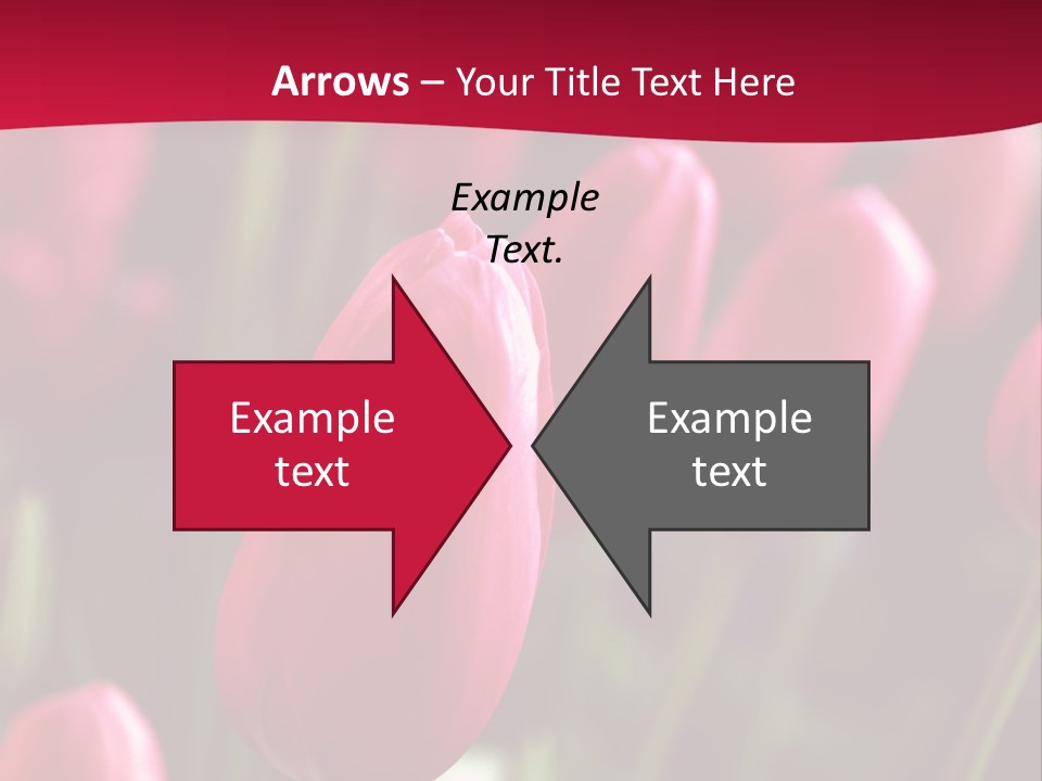 Colour Spring Tulip PowerPoint Template